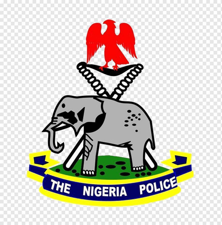 JUNGLE JUSTICE THREATENS INTEGRITY OF NIGERIA’S CRIMINAL JUSTICE SYSTEM – NPF